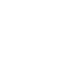 Walt Disney Co.